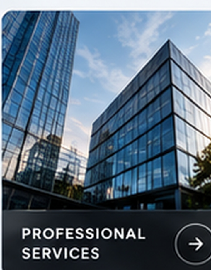 Professional services website concept
